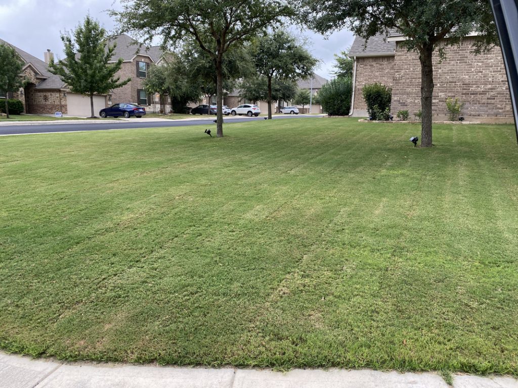 How to Make Bermuda Grass Dark Green? - My Heart Lives Here